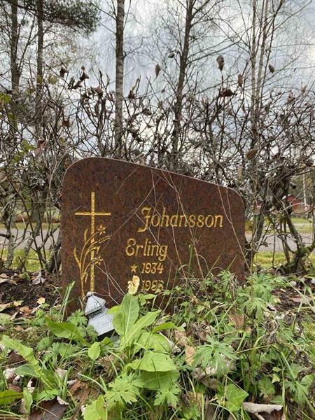 Hautatunnus: 1 29     11