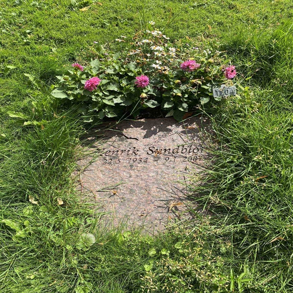 Hautatunnus: 1 T   204