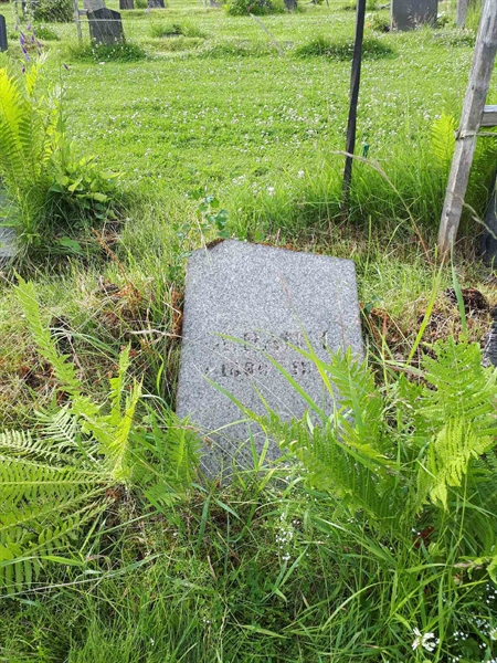 Hautatunnus: GK A 5   217M