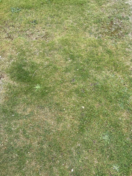 Grave number: SKF B     3, 4