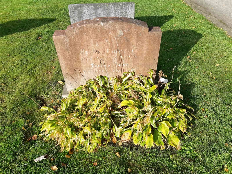 Hautatunnus: Fr 8   480-481