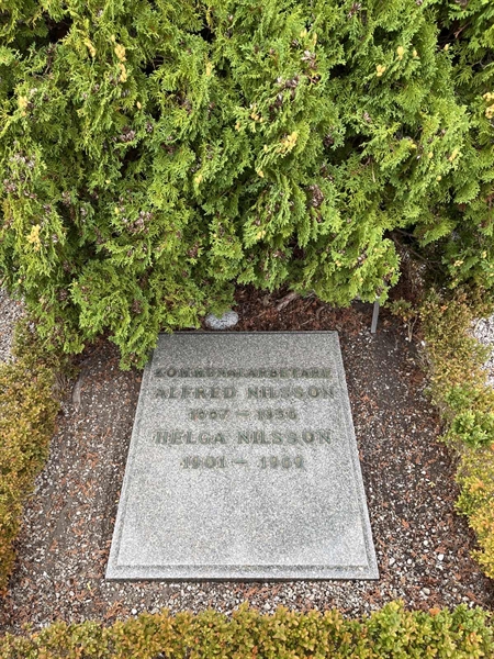 Grave number: NK Urn s    29