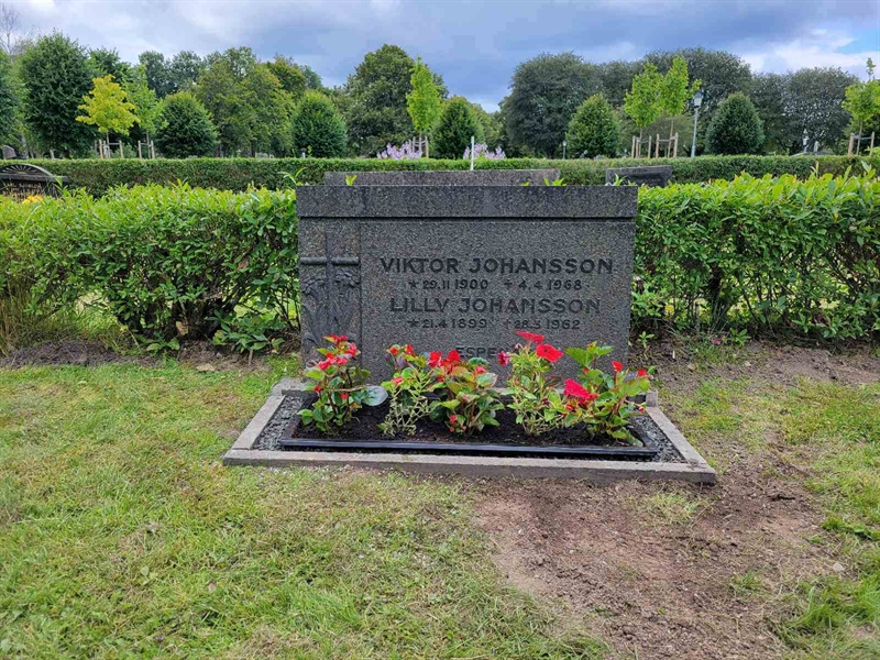 Hautatunnus: Nå NÖ F   52