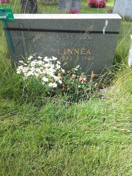 Grave number: KA 09    63-64