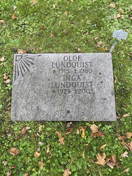 Gravnummer: 1 H   485