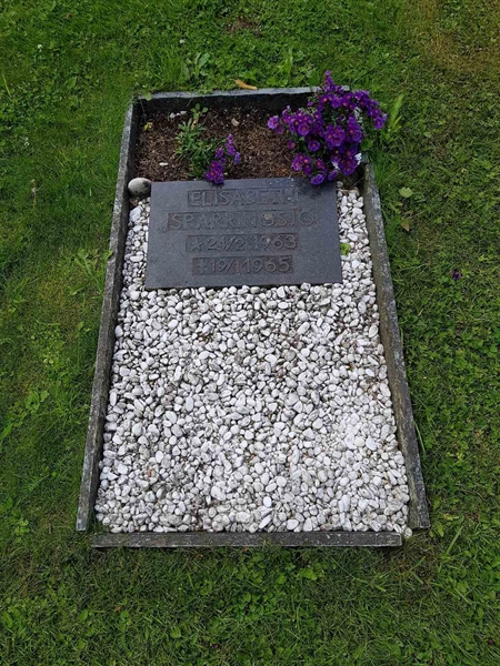 Grave number: 06 60208