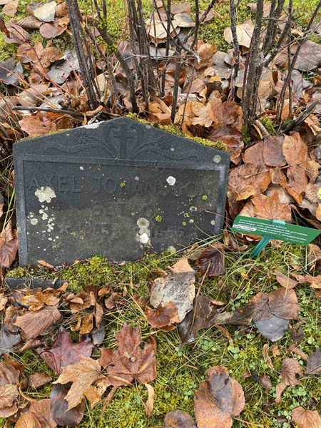 Gravnummer: GK A 3   466