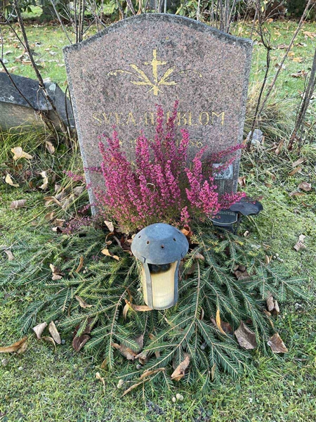 Gravnummer: GK A 3   489