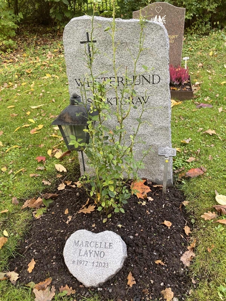 Hautatunnus: 1 H   100