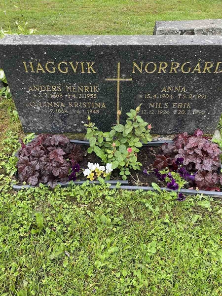 Gravnummer: N 4 4   555