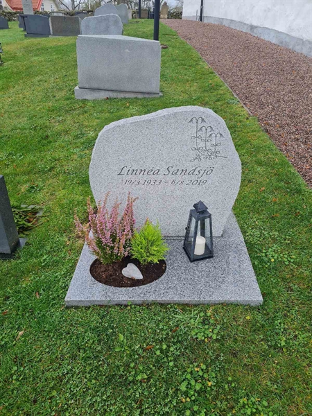 Gravnummer: Od D   105