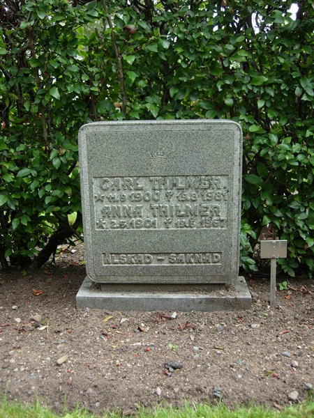 Grave number: A G   238