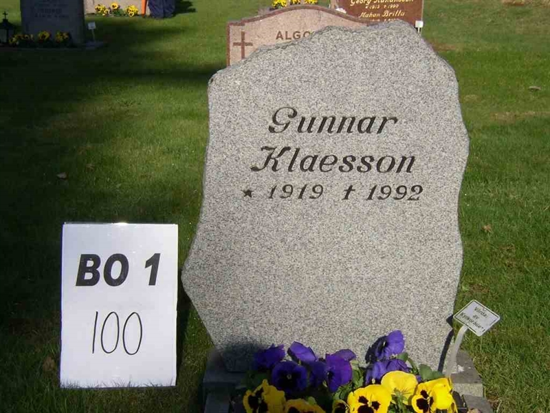 Grave number: BO 1   100