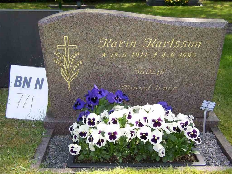 Grave number: Br N 771