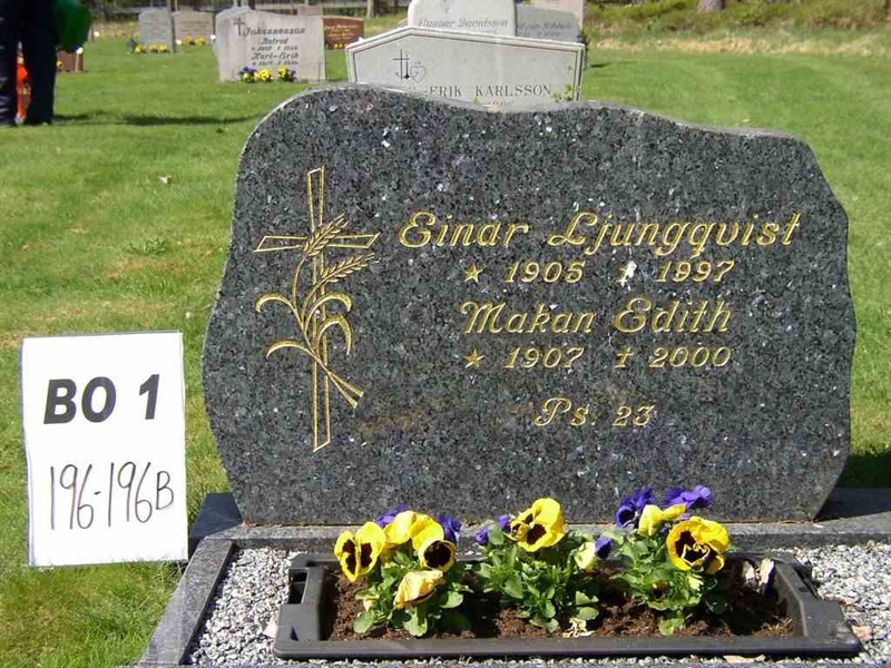 Grave number: BO 1   196-196B