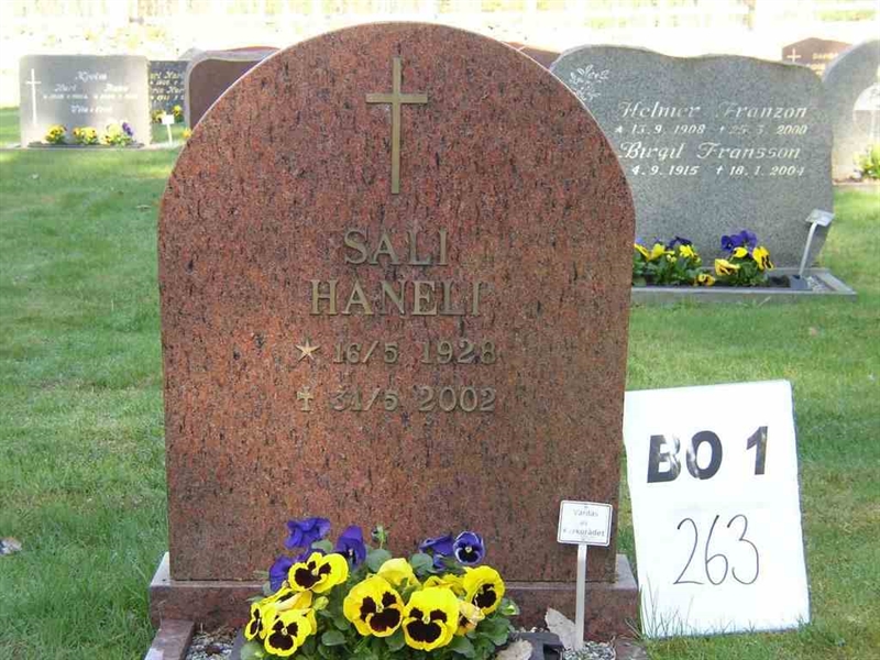 Grave number: BO 1   263
