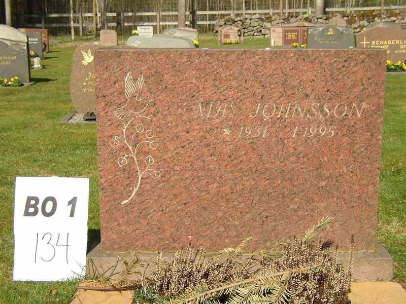 Grave number: BO 1   134