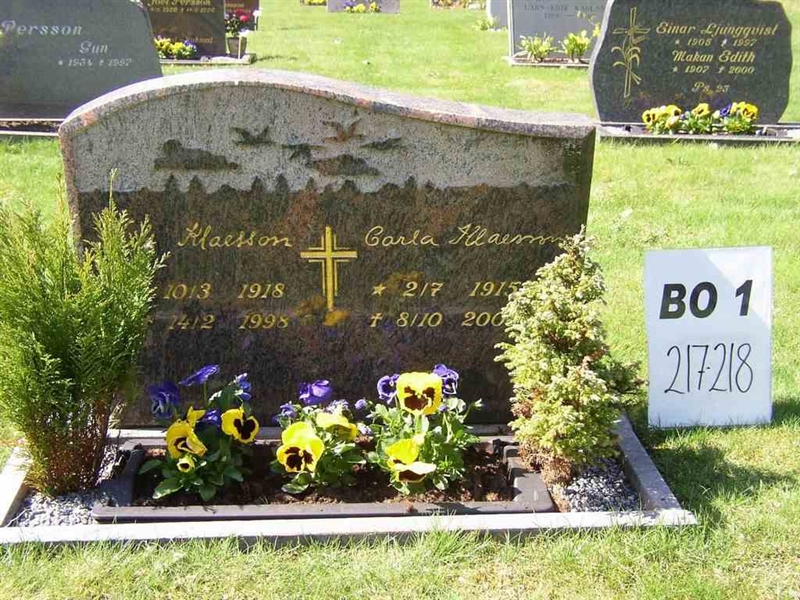 Hautatunnus: BO 1   217-218