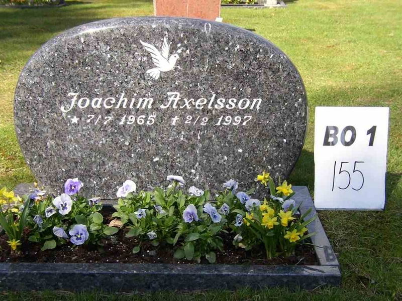 Grave number: BO 1   155