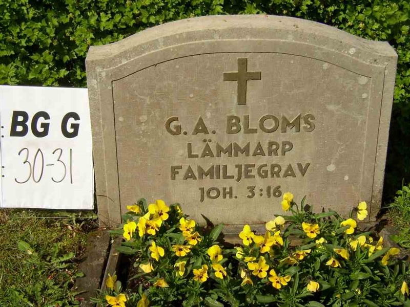 Grave number: Br G    30-31