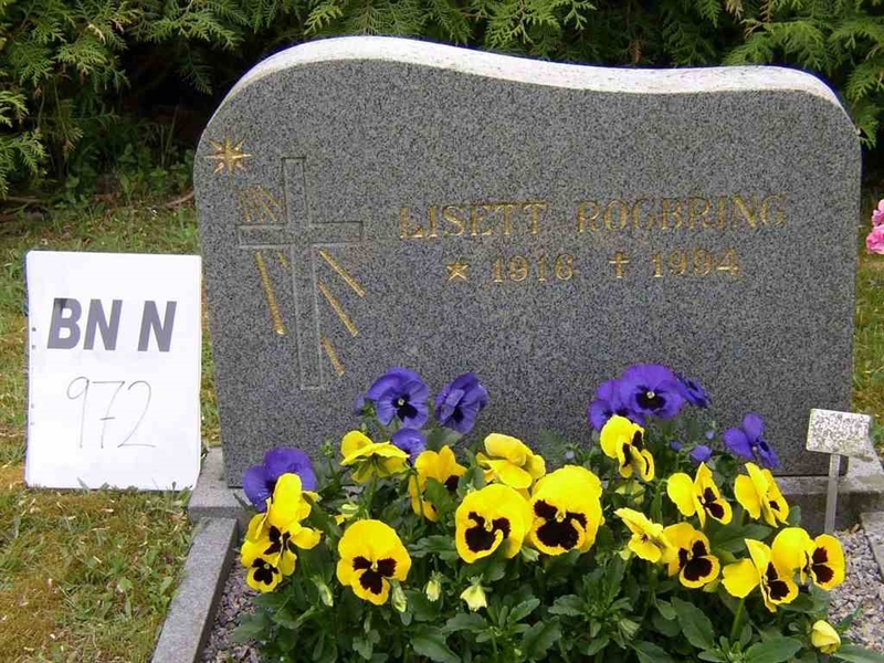 Grave number: Br N   972