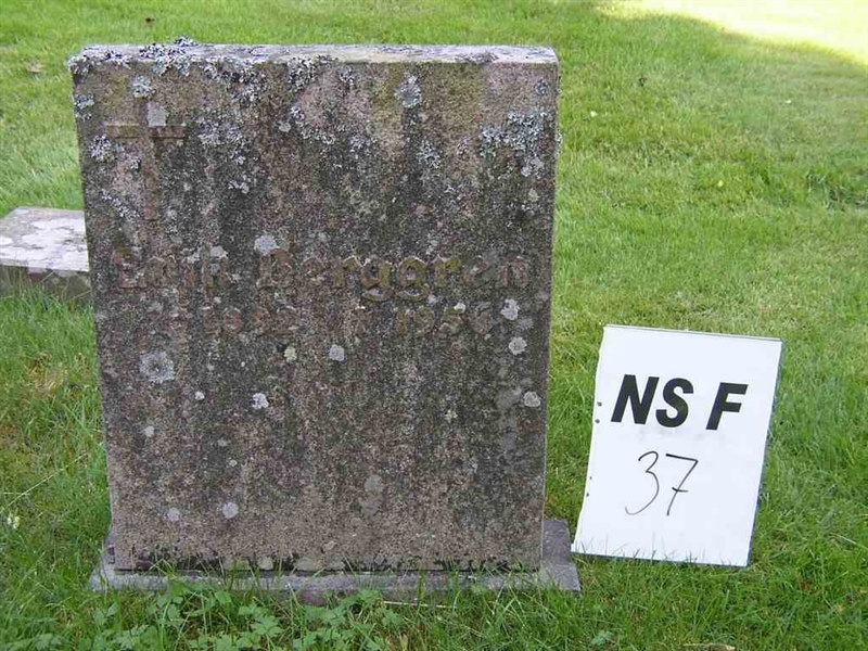 Hautatunnus: NS F    37
