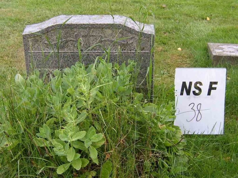 Hautatunnus: NS F    38