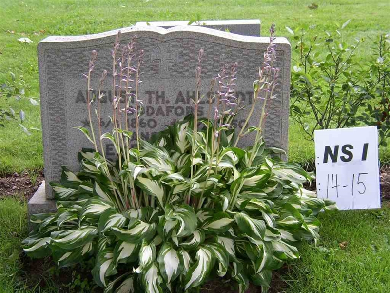Grave number: NS I    14-15