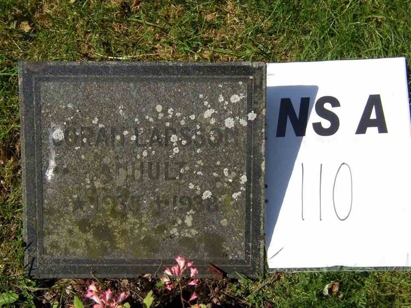 Grave number: NS A   110