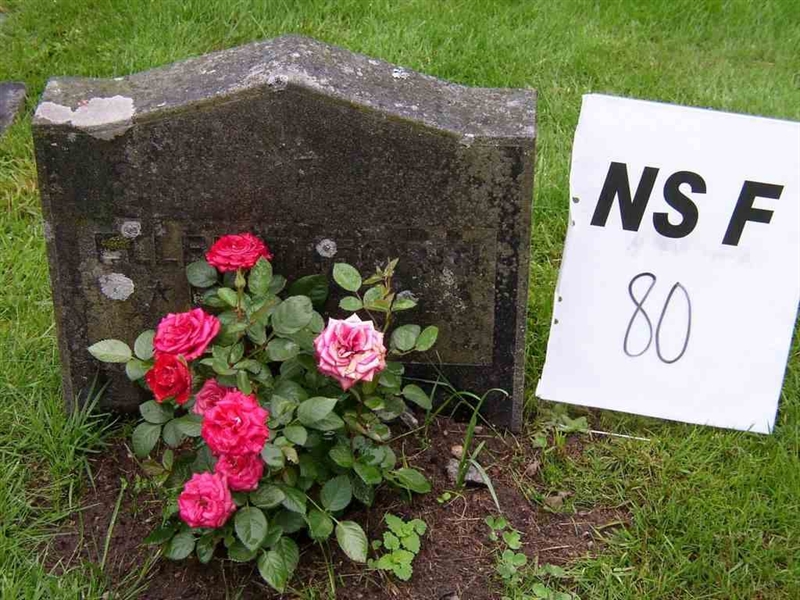 Hautatunnus: NS F    80