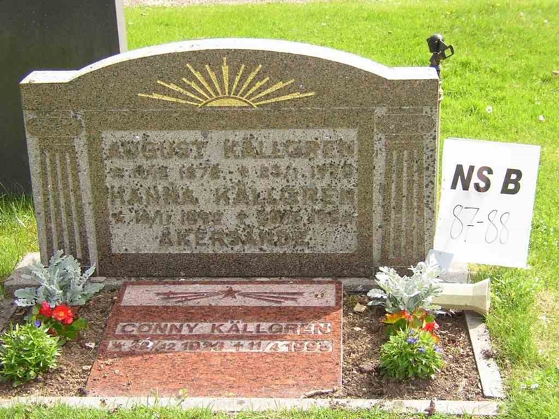 Hautatunnus: NS B    87-88