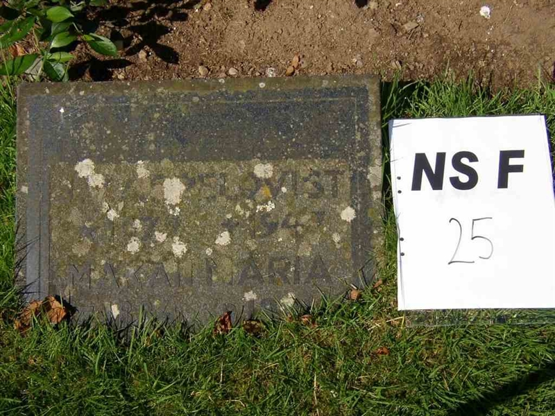 Hautatunnus: NS F    25