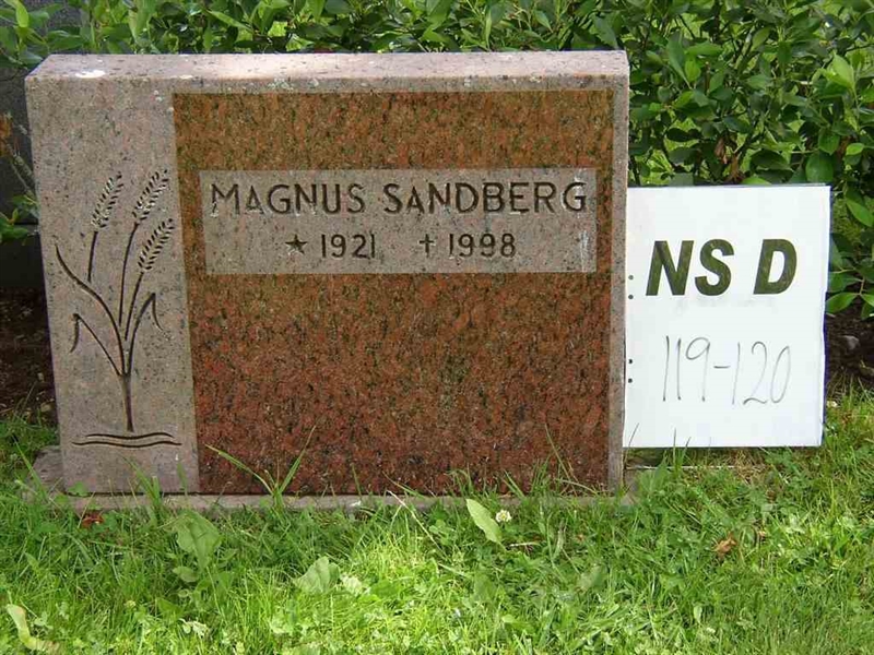 Grave number: NS D   119-120
