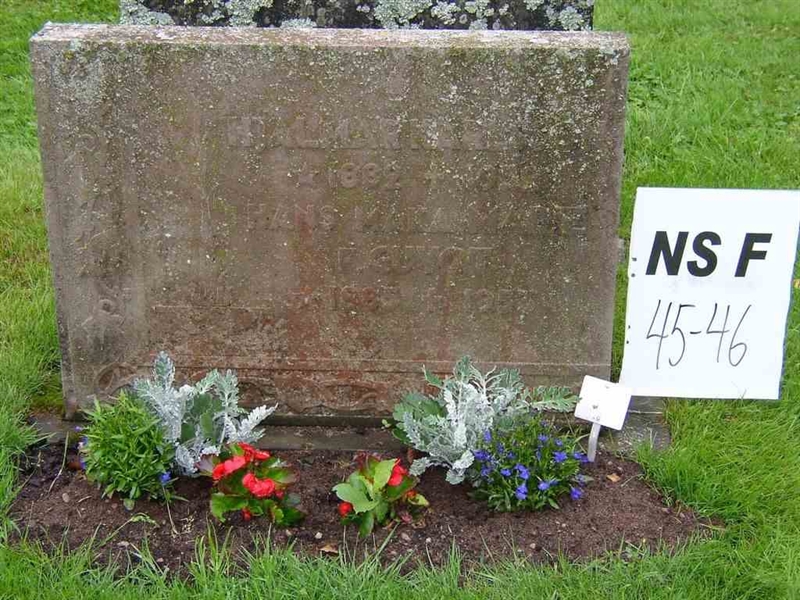 Hautatunnus: NS F    45-46