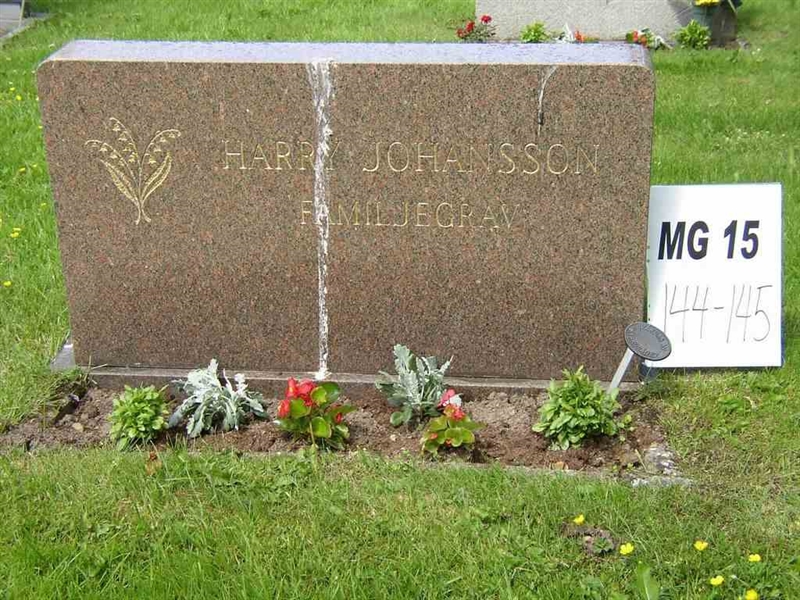 Grave number: M G 15   144-145