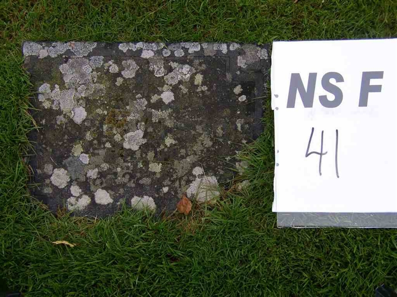Hautatunnus: NS F    41