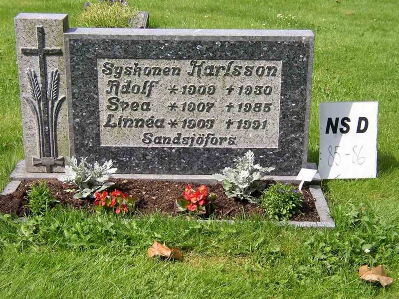 Hautatunnus: NS D    85-86