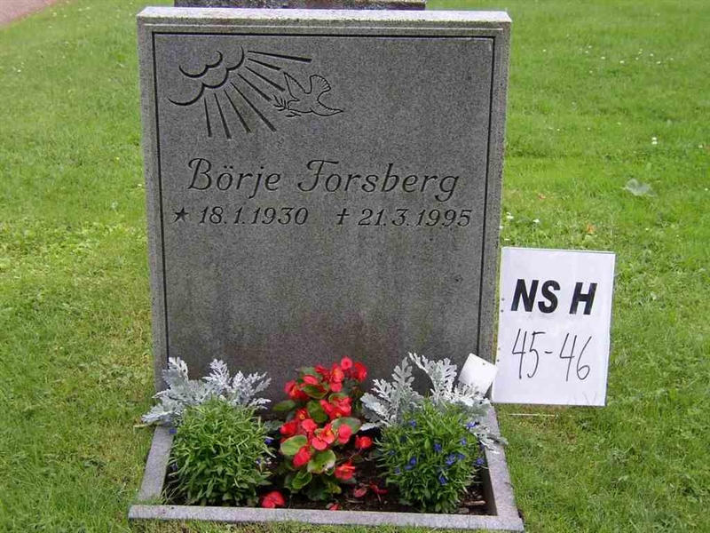 Grave number: NS H    45-46