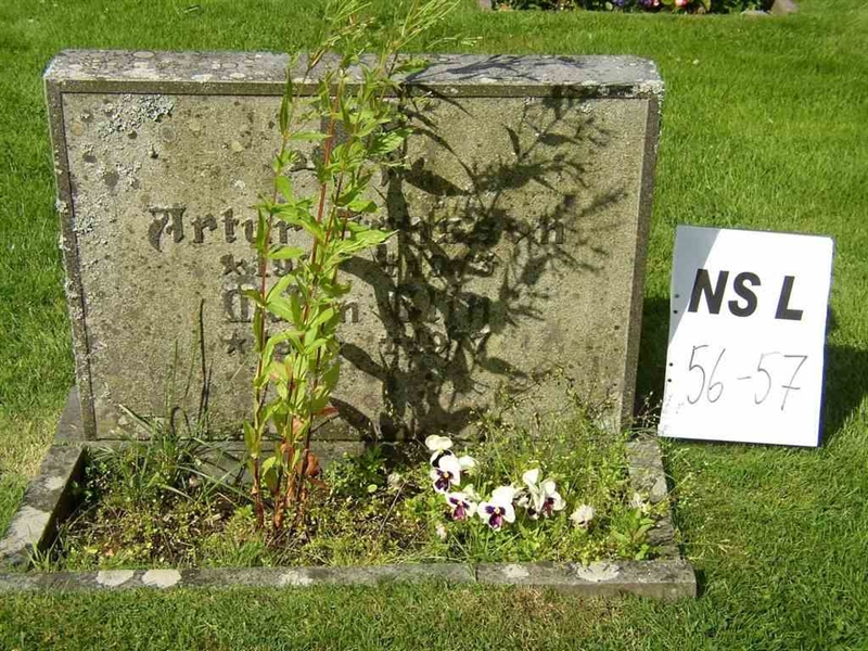 Hautatunnus: NS L    56-57