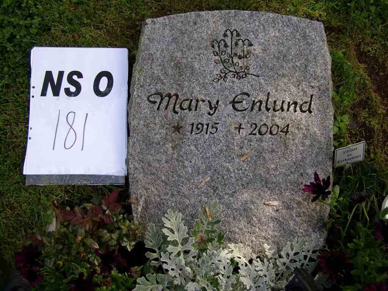 Hautatunnus: NS O 181