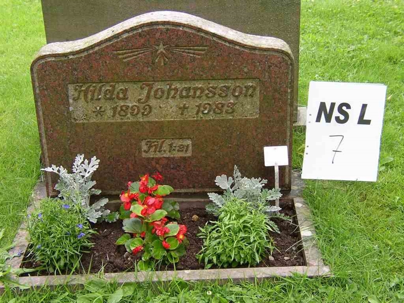 Grave number: NS L     7