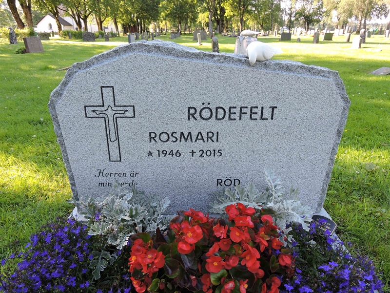 Hautatunnus: NS D    65-66