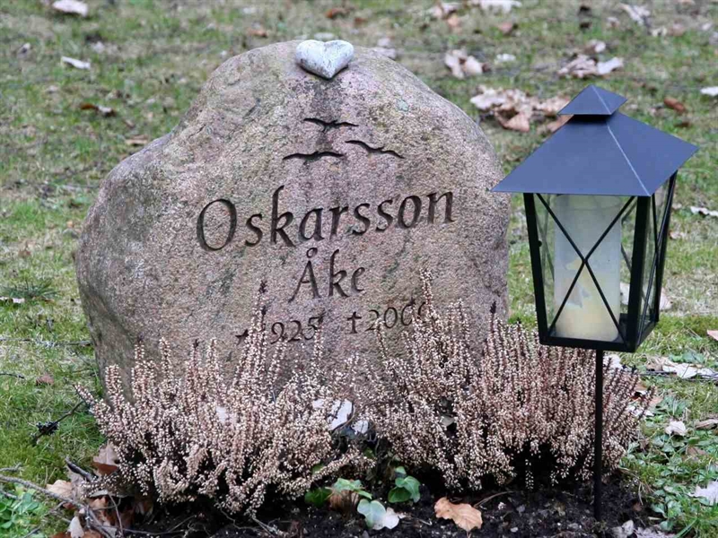 Gravnummer: S 4 C     9