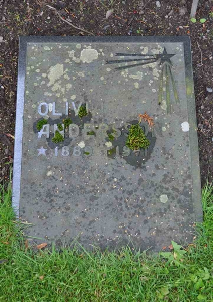 Grave number: A G   113