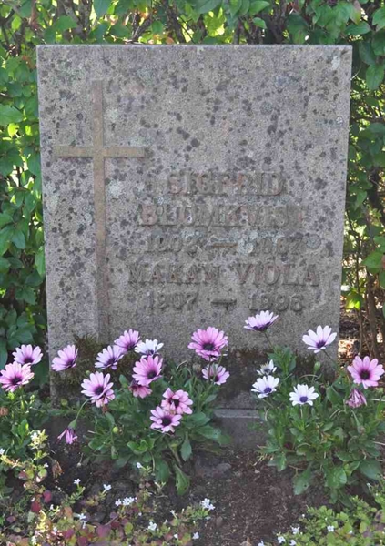 Grave number: A G   229