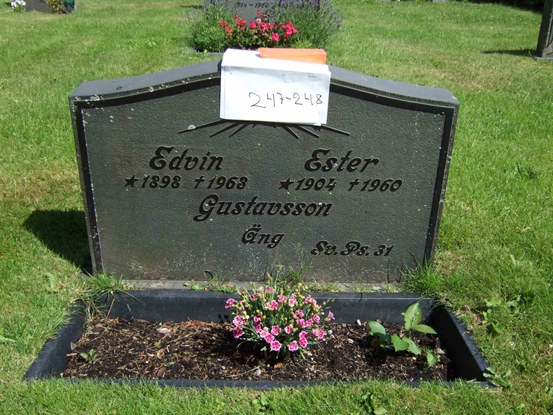 Gravnummer: B N B    93-94