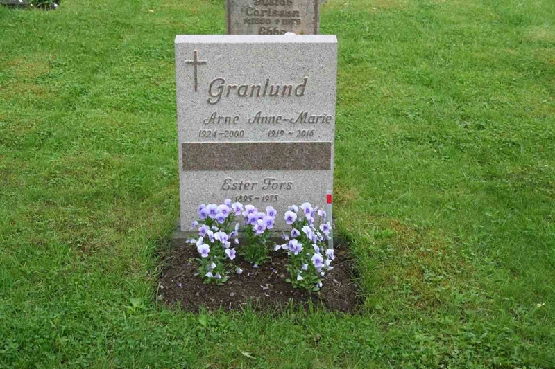 Grave number: A U E     3
