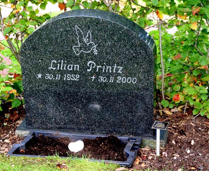 Hautatunnus: A O    45-48