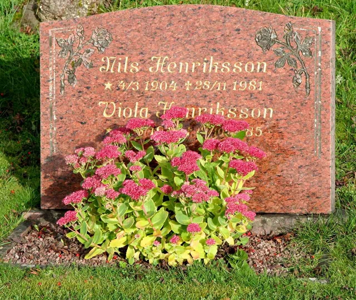 Grave number: F Ö B    24-25