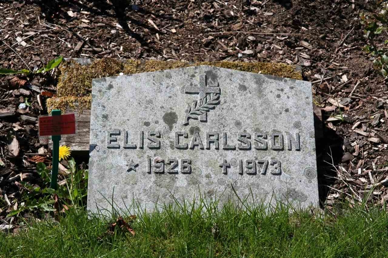 Grave number: A K 223
